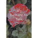 My Letters to You