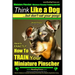 Miniature Pinscher, Miniature Pinscher Training AAA AKC Think Like a Dog But Don't Eat Your Poop! Miniature Pinscher Breed Expert Training: Here's EXA
