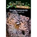 Snow Leopards and Other Wild Cats