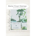 Raise Your Energy with House Plants