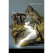 The Sensing Body in the Visual Arts: Making and Experiencing Sculpture
