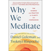 Why We Meditate: The Science and Practice of Clarity and Compassion