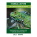Iguana as Pets: Iguanas General Info, Purchasing, Care, Cost, Keeping, Health, Supplies, Food, Breeding and More Included! The Ultimat