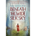 Beneath the Wide Silk Sky
