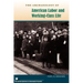 The Archaeology of American Labor and Working-Class Life