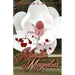 Murder Under the Magnolias