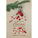 Surviving Christmas With the Family