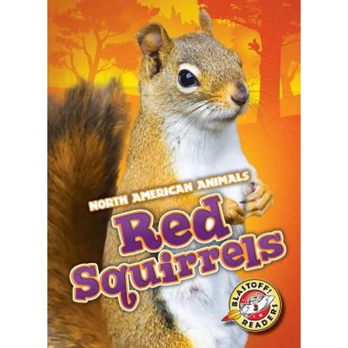 Red Squirrels