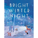 Bright Winter Night