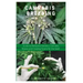 The New Cannabis Breeding: Complete Guide To Breeding and Growing Cannabis The Easiest Way