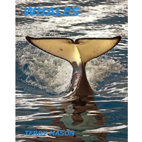 Whales: Whale Facts for Kids, Whales Gentle Giants of the Sea