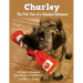 Charley: The First Year of a Standard Schnauzer