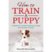 How to Train a Puppy: A Beginner's Guide to Raising a Puppy with Positive Training