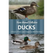 Ducks