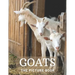 Goats: The Picture Book of Beautiful Goats for Kids, Alzheimer's Seniors with Dementia.