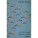 The Four Seasons Real Course About Pigeons