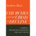Churches and the Crisis of Decline: A Hopeful, Practical Ecclesiology for a Secular Age
