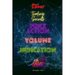 Price Action Volume Indication Trading: NextLevel Trading Secrets