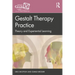 Gestalt Therapy Practice: Theory and Experiential Learning