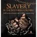 Slavery in the Southern Colonies North American Colonization Grade 3 Children's American History