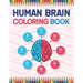 Human Brain Coloring Book: The Human Brain Coloring Book. Human Brain Model Anatomy, Human Brain Diagram, Human Brain Art, Human Brain and Human