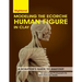 Modeling The Ecorche Human Figure in Clay: A Sculptor's Guide to Anatomy