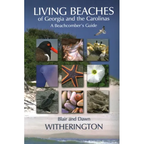 Living Beaches of Georgia and the Carolinas: A Beachcomber's Guide