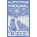 Swift Lightning: A Story of Wildlife Adventure in the Frozen North