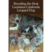 Breeding the Best Louisiana Catahoula Leopard Dog