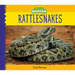 Rattlesnakes