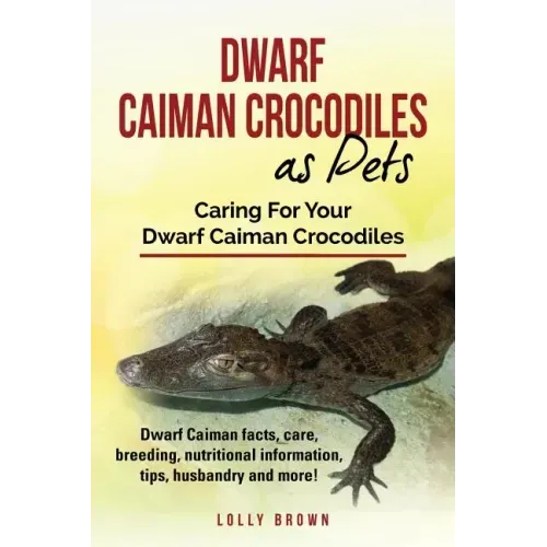 Dwarf Caiman Crocodiles as Pets: Dwarf Caiman facts, care, breeding, nutritional information, tips, husbandry and more! Caring For Your Dwarf Caiman C