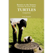 Return to the Sewers: Teenage Mutant Ninja Turtles Comparison