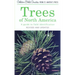 Trees of North America: A Guide to Field Identification, Revised and Updated