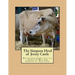 The Simpson Herd of Jersey Cattle: Registered Jersey Cattle owned by William Simpson of New York