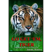 Go Get 'Em Tiger: Become the Person You Want to Be