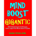Mind Boost Gigantic: 500 Entertaining & Challenging Extra Large Print Word Search Puzzles