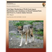 Vital Signs Monitoring of Wolf (Canis lupus) Distribution and Abundance in Denali National Park and Preserve, Central Alaska Network: 2011 Report