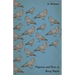 Pigeons and How to Keep Them