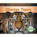 Siberian Tigers
