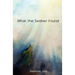 What the Seeker Found