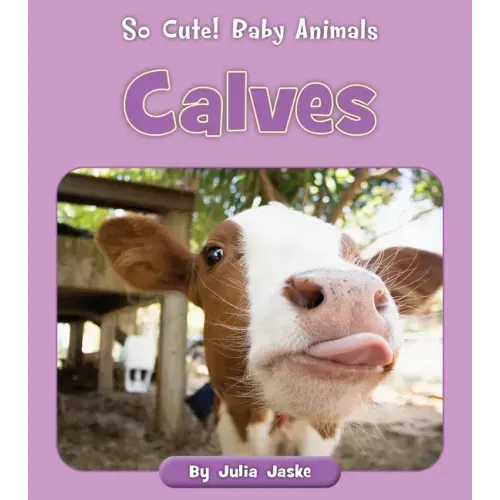 Calves