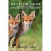 Native American Short Stories: Book II