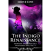 The Indigo Renaissance (Sporadic Thoughts of a Splintered Soul vol. 2)
