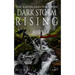 The Raven And The Crow: Dark Storm Rising