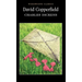 David Copperfield