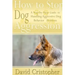 How to Stop Dog Aggression: A Step-By-Step Guide to Handling Aggressive Dog Behavior Problem