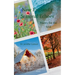 New England's Seasonal Echoes