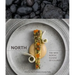 North: The New Nordic Cuisine of Iceland [A Cookbook]