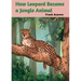 How leopard Became Jungle Animal