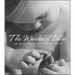 The Wonder of Babies: The World Through the Eyes of a Child